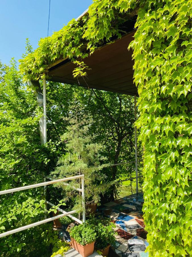 Hotel Green House à Lagodekhi Extérieur photo